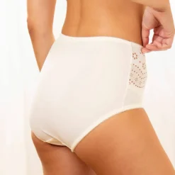 Culotte microfibre forme maxi taille haute "Osilio" - lot de 2