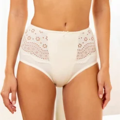 Culotte microfibre forme maxi taille haute 