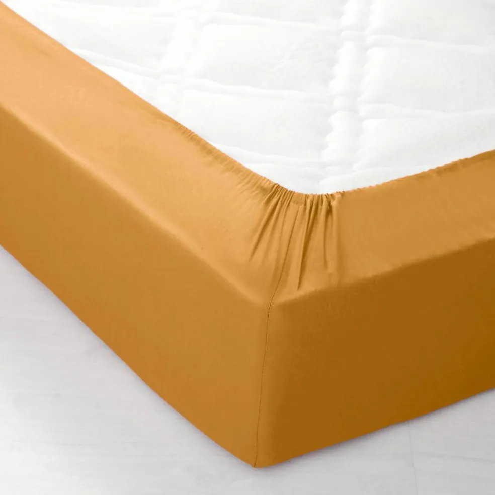 Drap-housse uni coton bonnet 32 cm