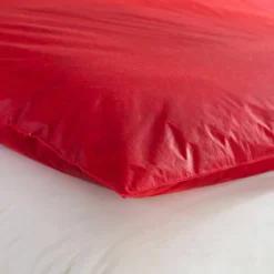 Edredon naturel duvet et plumettes