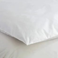 Edredon naturel duvet et plumettes