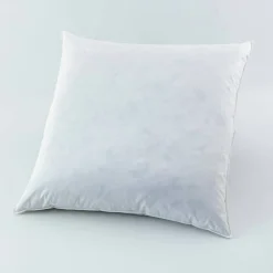 Oreiller plumes en lot de 2