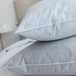 Oreiller plumes en lot de 2