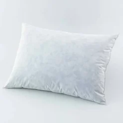 Oreiller plumes en lot de 2