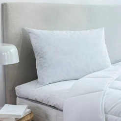 Oreiller plumes en lot de 2