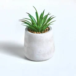 Plante artificielle et pot en ciment