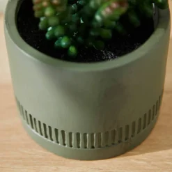 Plante verte artificielle et pot en ciment