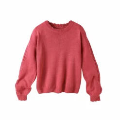 Pull col rond finitions écailles