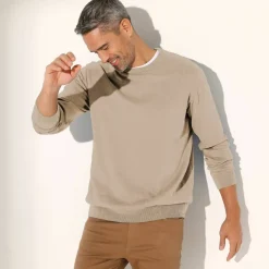 Pull pur coton col rond