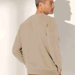 Pull pur coton col rond