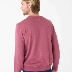 Pull pur coton col rond