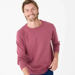 Pull pur coton col rond