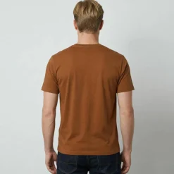 T-shirt col rond manches courtes - lot de 3