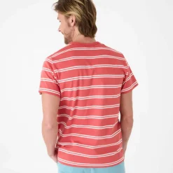 T-shirt rayé col rond manches courtes - coton biologique(**)